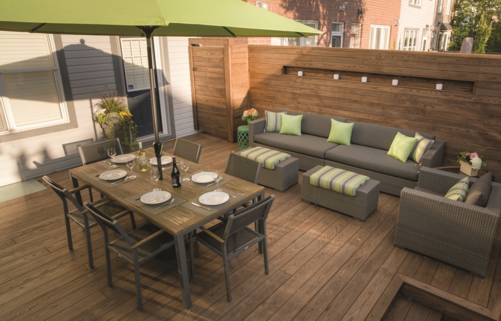 14.-thermory-ash-decking-paneling-private-house-toronto-canada-concept-design-andrea-mclean-photo-credit-jeff-mcneill2-2-1024x657.jpg
