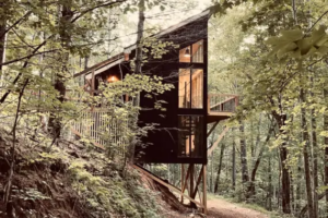 5Thermory-Vivid-thermo-pine-cladding-Treeangle-Cabin-USA-Catherine-Pegeau-1920x1280-1-570x380.png