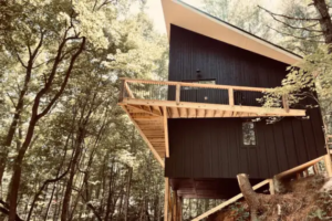 6Thermory-Vivid-thermo-pine-cladding-Treeangle-Cabin-USA-Catherine-Pegeau-1920x1280_2-570x380.png